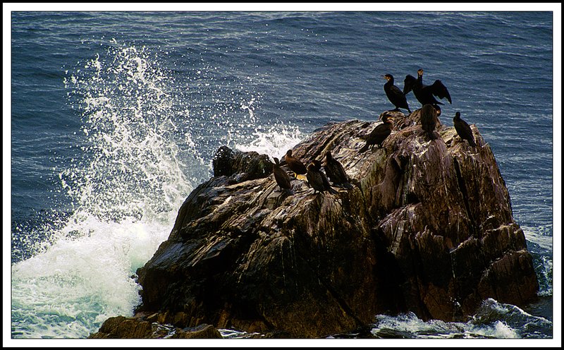 Nova Scotia-45-20-06.jpg