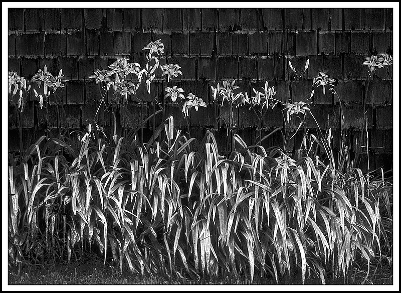Ontario-09-23-13-bw.jpg