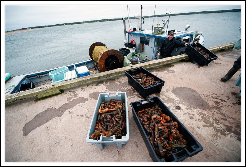 PEI_DSC2940.jpg
