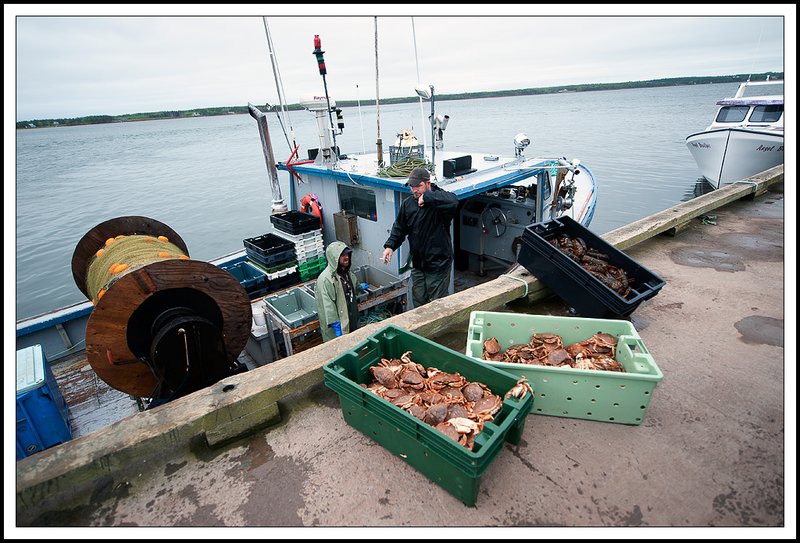 PEI_DSC2943.jpg