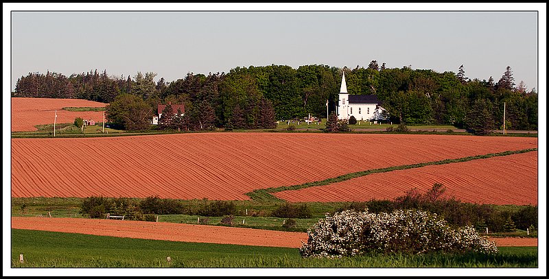 PEI_DSC2982-2.jpg