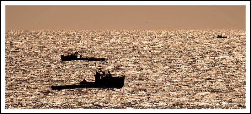 PEI_DSC2985-2.jpg