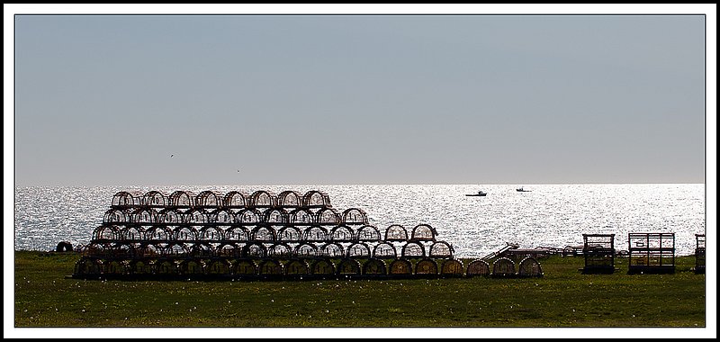 PEI_DSC2991-2.jpg