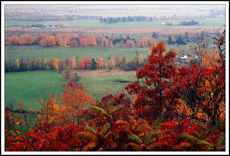 Quebec-30-08-07.jpg