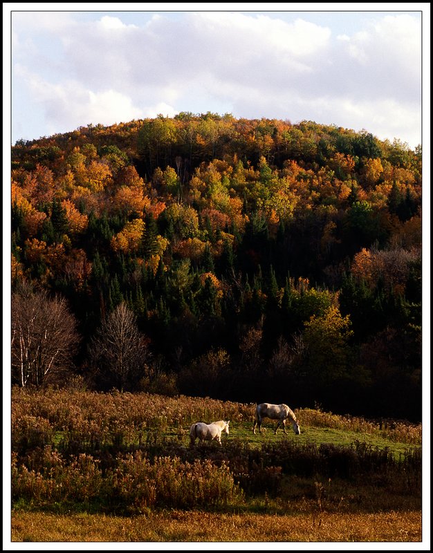 Quebec-33-24-06.jpg