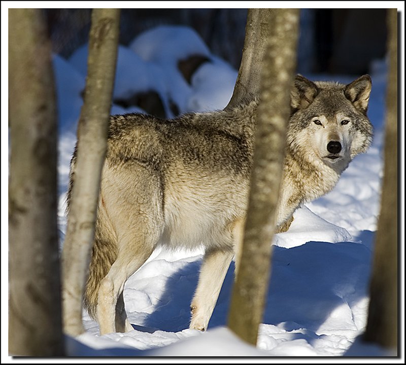 Quebec-DSC_0202.jpg