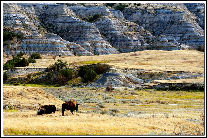 RooseveltNP-DSC_0510.jpg