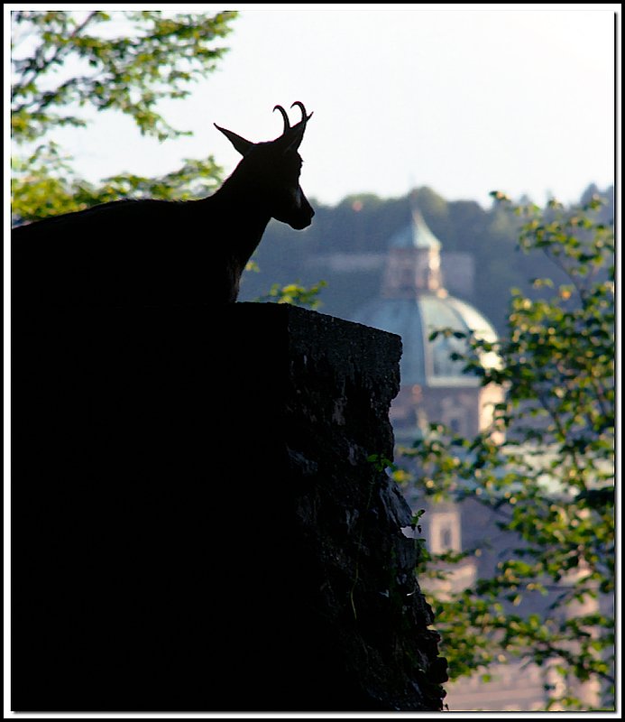Saltzburg-02-03-05.jpg