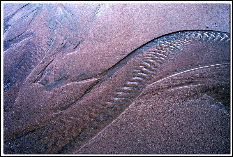 Sand Landscape-DSC_2986-2.jpg