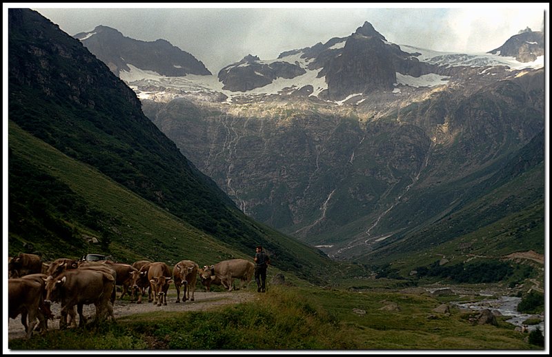Switzerland-02-06-18.jpg