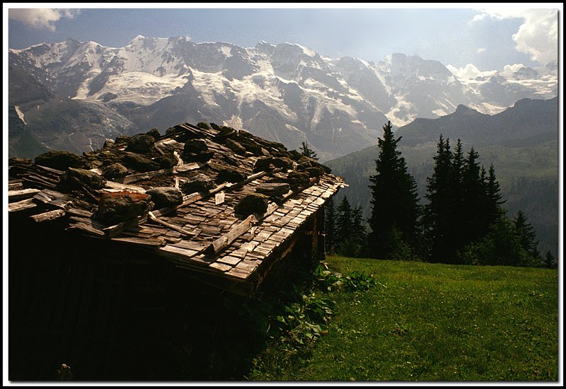 Switzerland-02-08-10.jpg