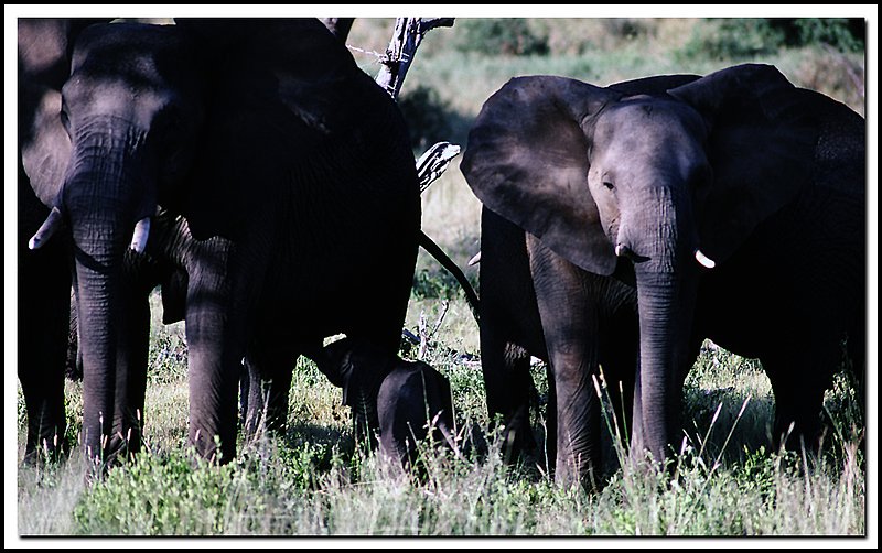 Tanzania-19-30-20.jpg