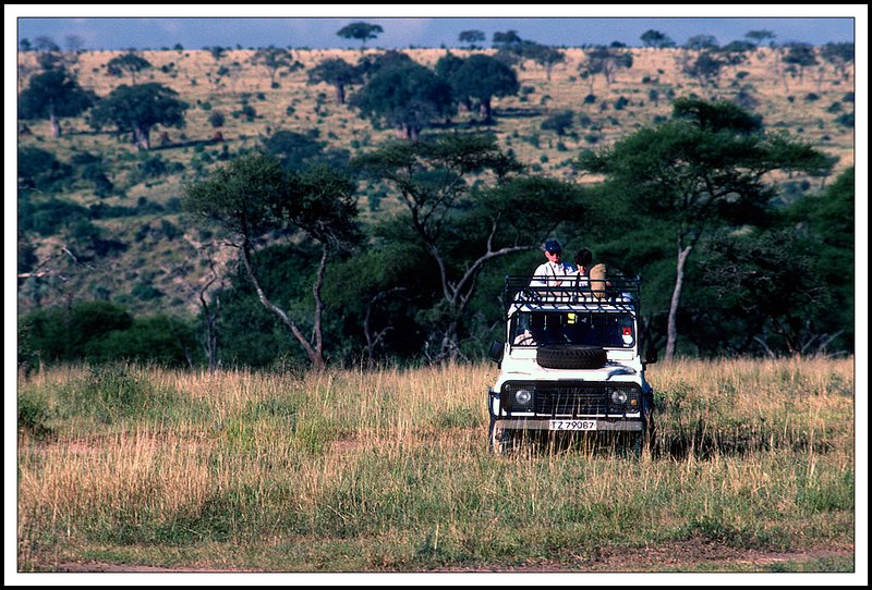 Tanzania-19-31-10.jpg