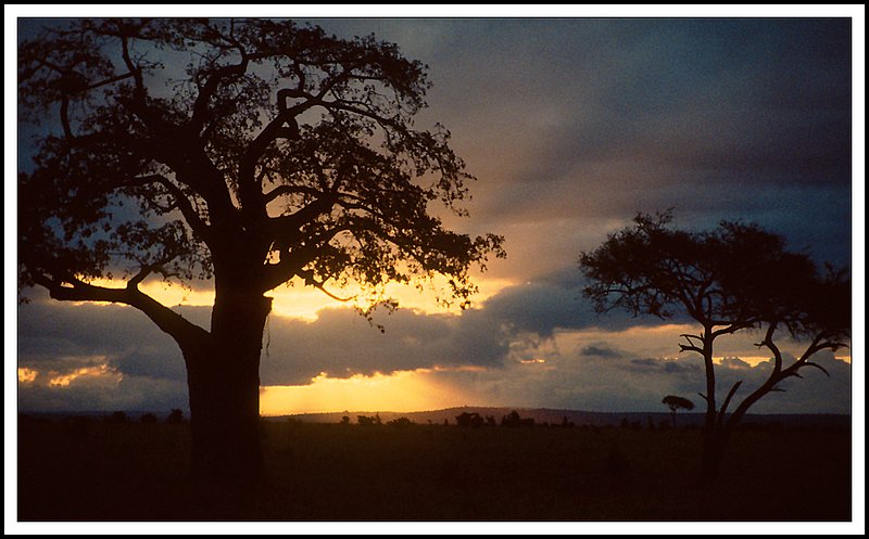 Tanzania-19-33-18.jpg