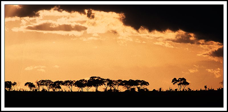 Tanzania-19-33-19.jpg