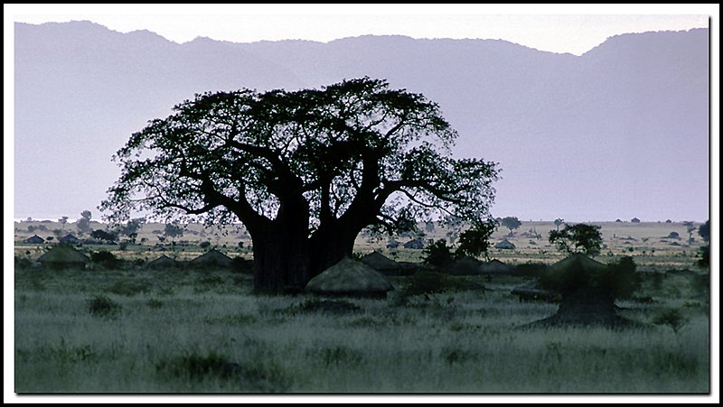 Tanzania-20-01-03.jpg