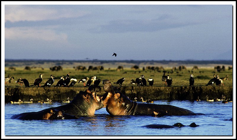 Tanzania-20-07-18.jpg