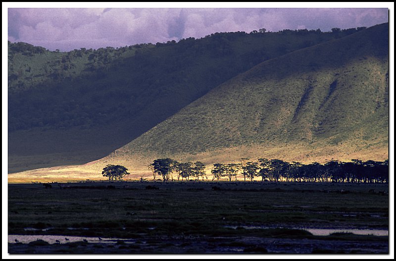 Tanzania-20-10-07.jpg