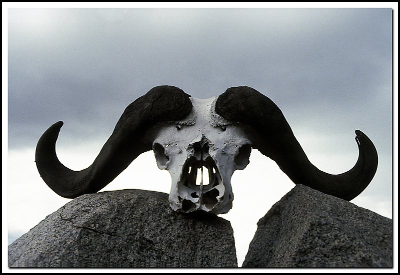 Tanzania-20-35-13.jpg
