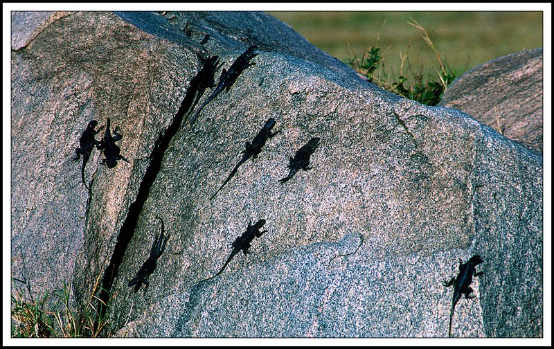 Tanzania-21-07-18.jpg