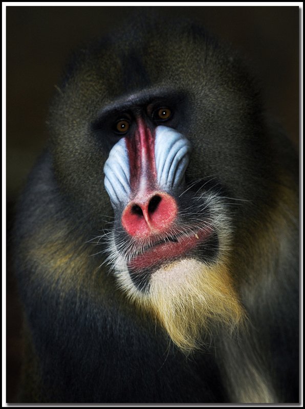 Toronto Zoo-DSC_5375.jpg