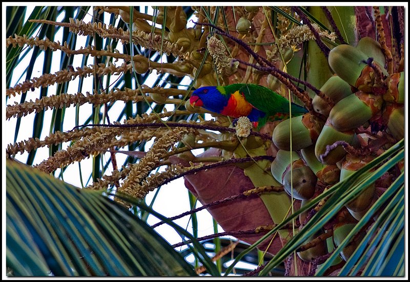 Townsville-DSC_3072.jpg