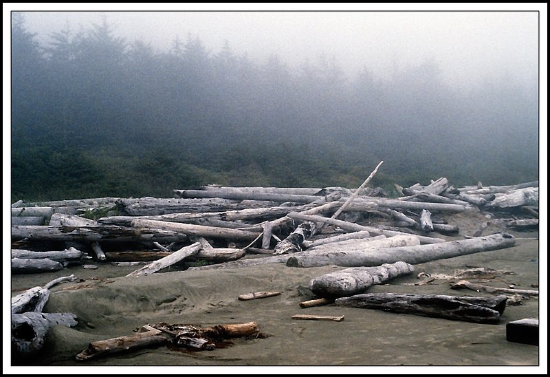 Vancouver  Island-22-28-11.jpg