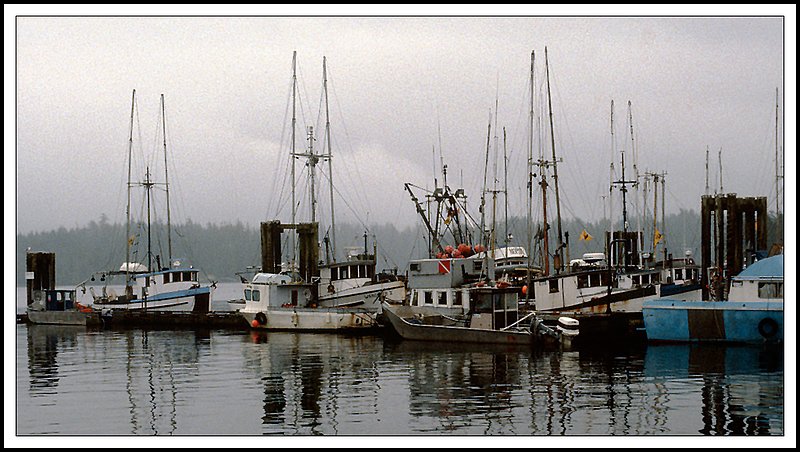 Vancouver  Island-22-28-14.jpg