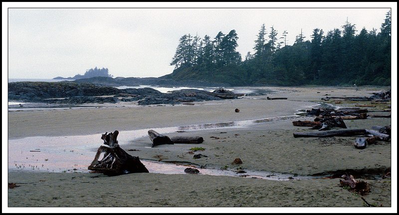 Vancouver  Island-22-28-17.jpg