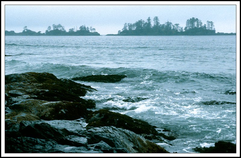 Vancouver  Island-22-29-02.jpg