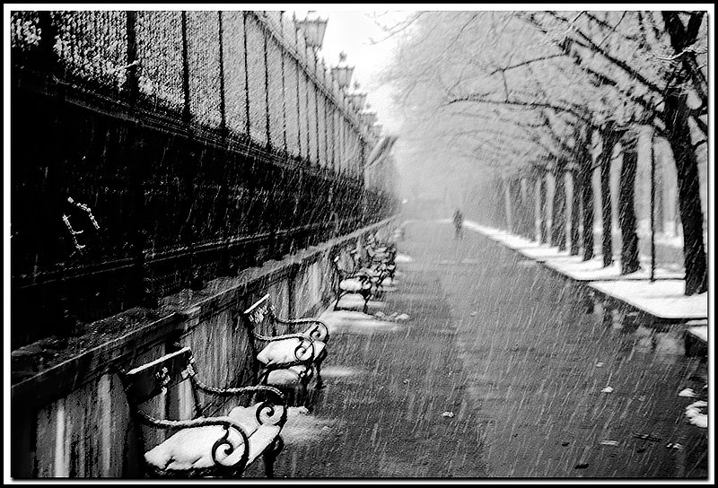 Vienna-19-17-04-bw.jpg
