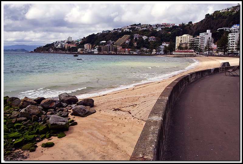 Wellington-DSC_2731.jpg