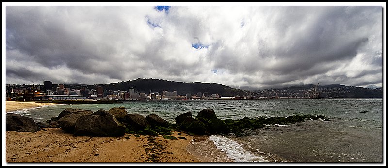 Wellington-DSC_2732.jpg