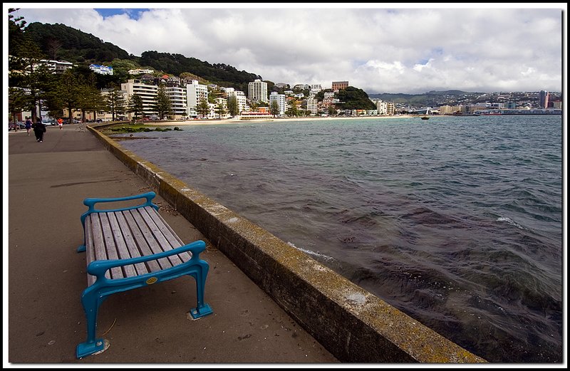 Wellington-DSC_2736.jpg