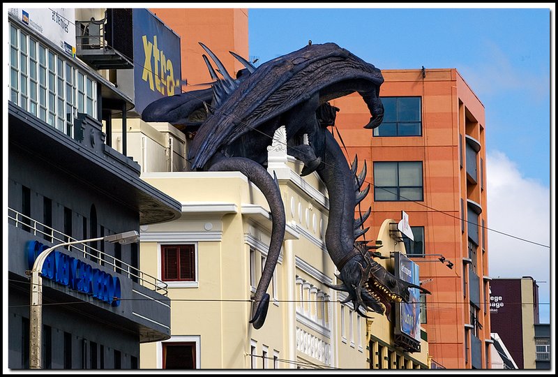 Wellington-DSC_2767.jpg