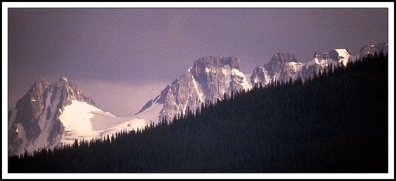 YohoNP-07-03-06.jpg