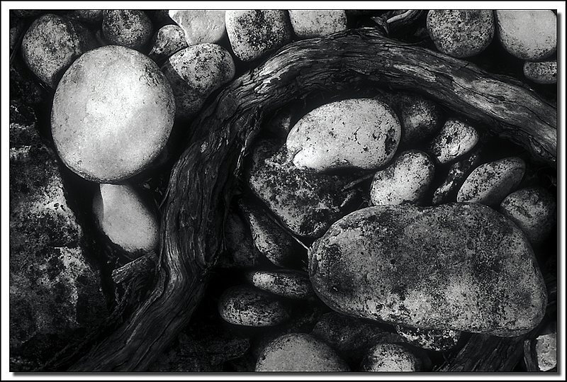 BruceNP-42-20-20-bw2.jpg