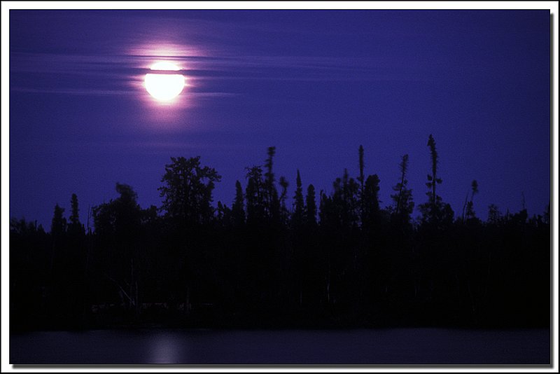 NWT-22-16-061.jpg