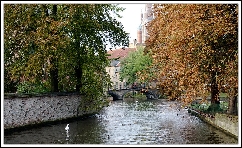 Bruges_DSC3068.jpg