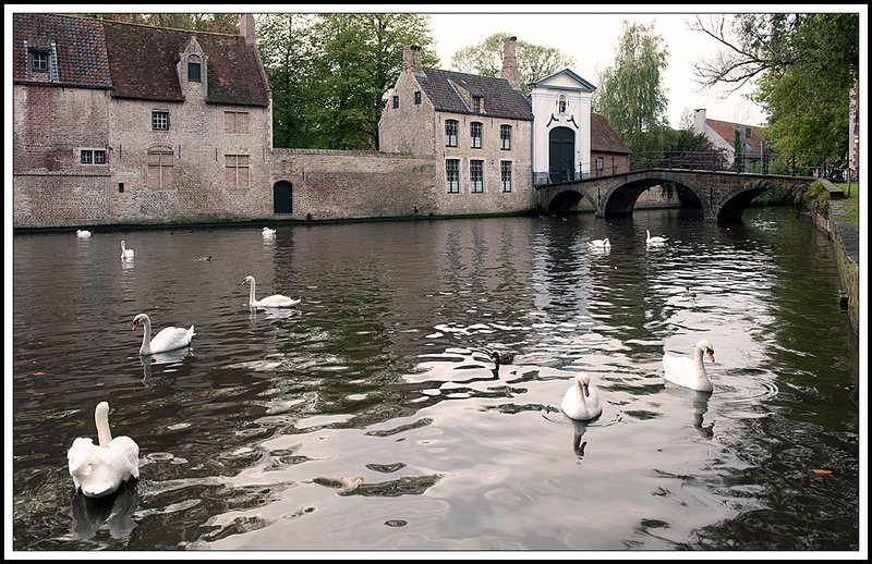 Bruges_DSC3074.jpg