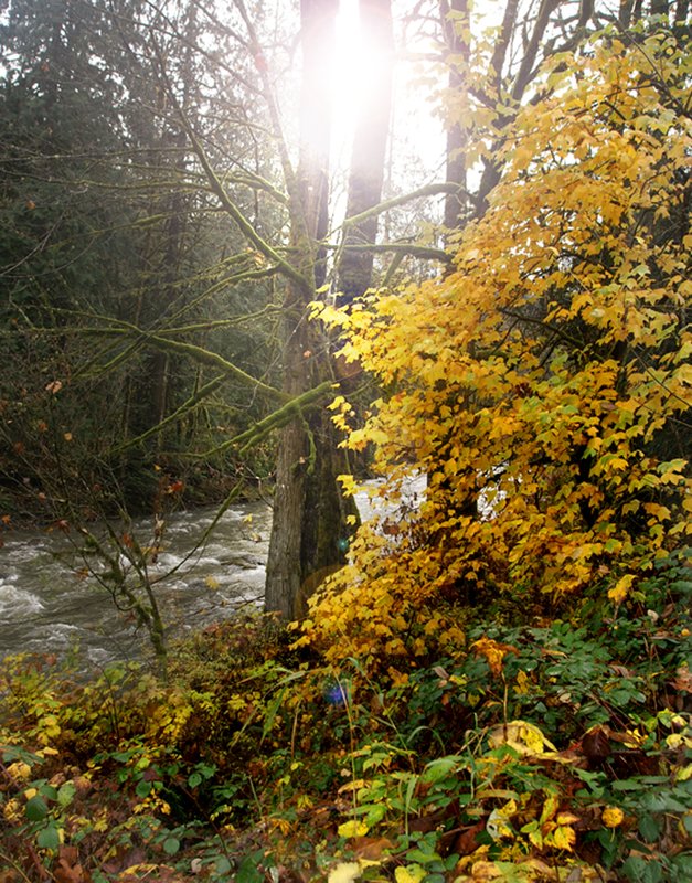 Snoqualmie Valley 4.jpg :: KONICA MINOLTA DIGITAL CAMERA