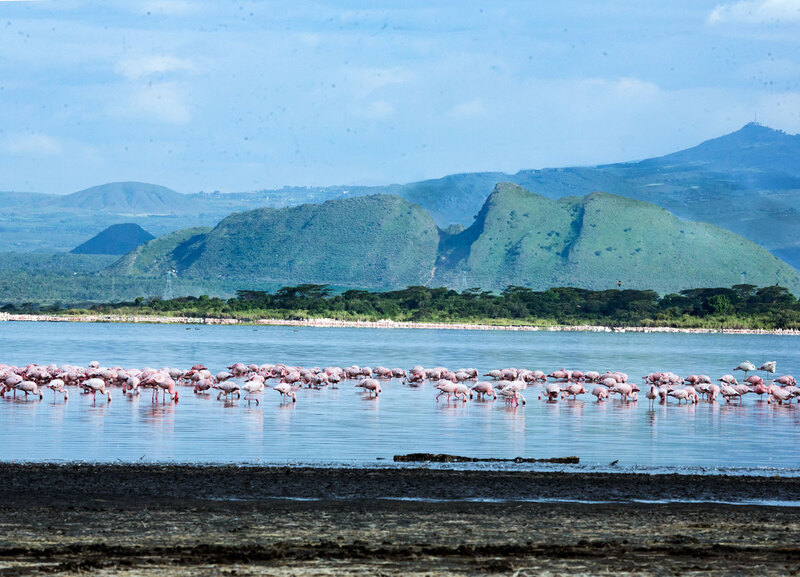 164A9500flamingos-and-sleeping-warrier-copy.jpg :: flamingos-and-sleeping-warrier in background