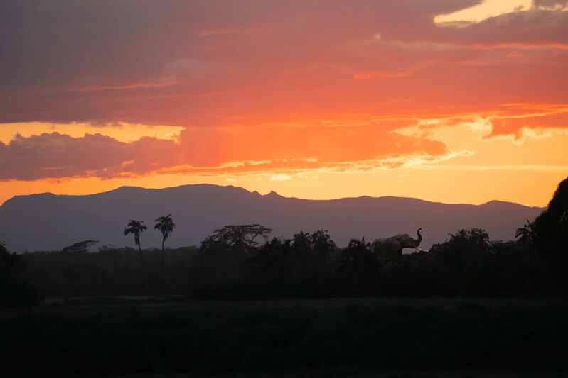5L2A7013sunset-scene-amboseli-copy.jpg