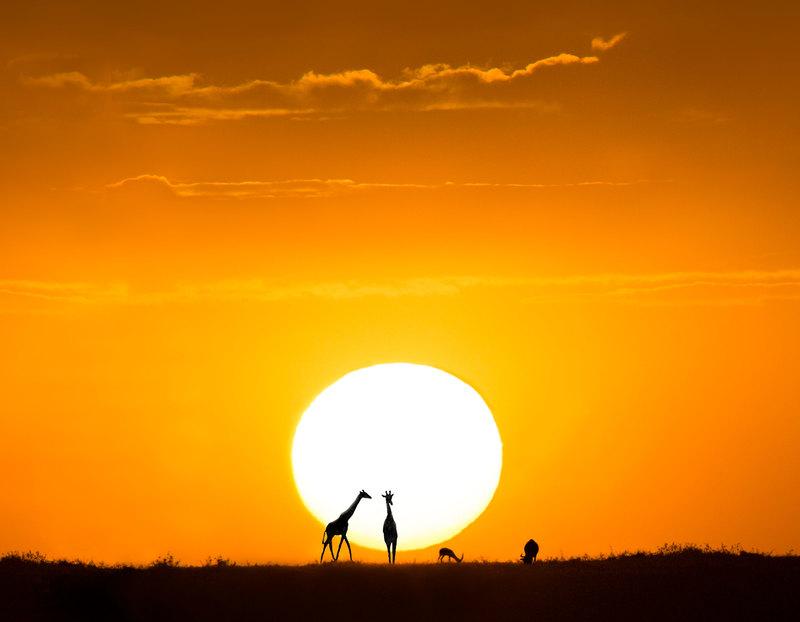 Masai-Mara-sunset-modcrop.jpg :: A cropped version of previous photo.