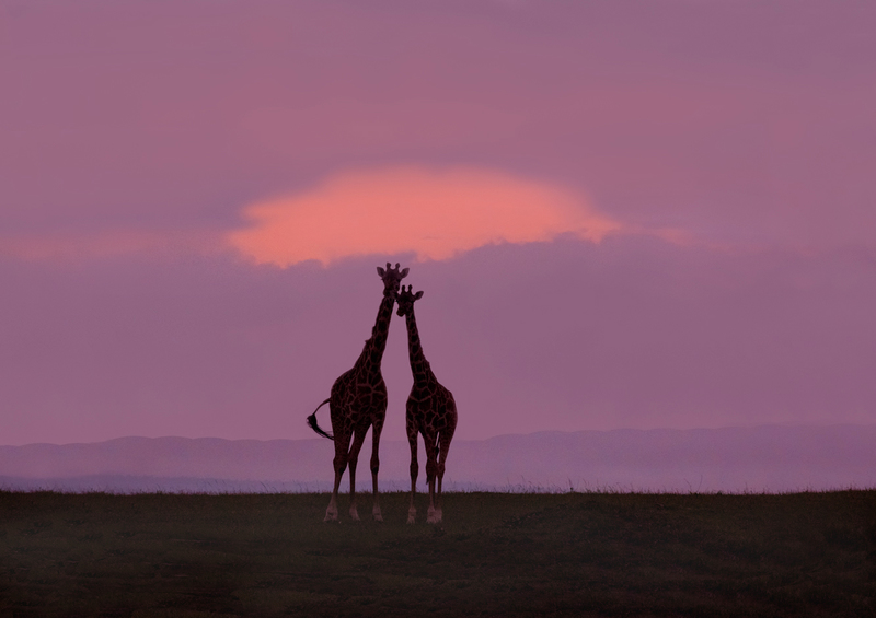 Reflecting-on-the-Day copy(1).jpg :: Same male and female as in previous photo. Now they are watching the final portion of this unusual purple sunset.