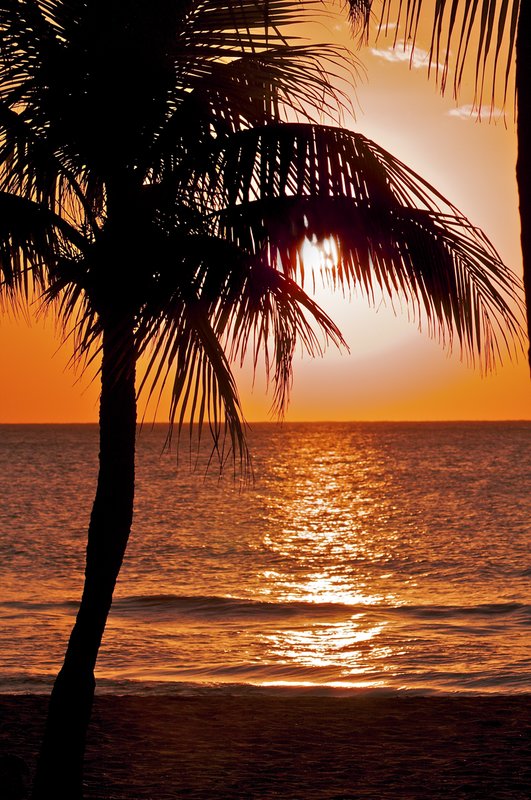 Sunset Jamaica.jpg :: Negril Beach, Jamaica: Famous 7 mile beach of Jamaica