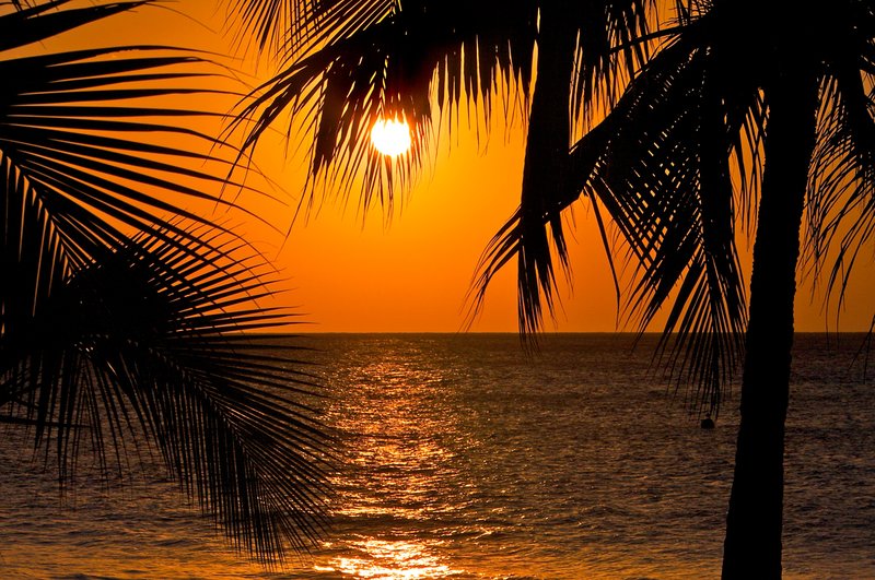 Sunset-with-palms wide angle SS1a.jpg :: Negril Beach, Jamaica: Famous 7 mile beach of Jamaica