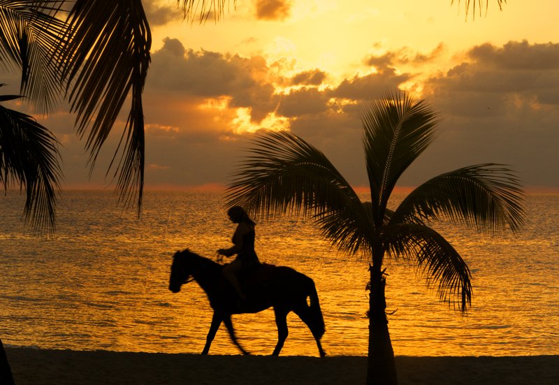 Sunset On Horseback.jpg