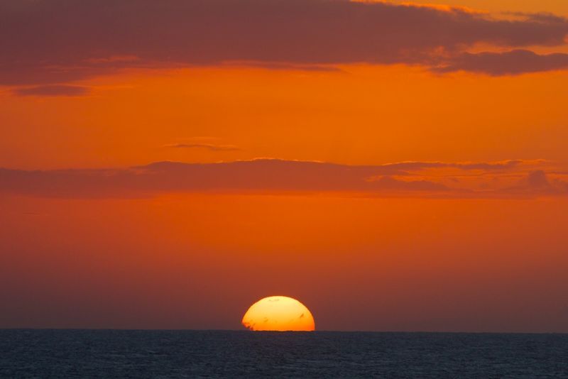 Sunset3 at Push Cart 1207.jpg