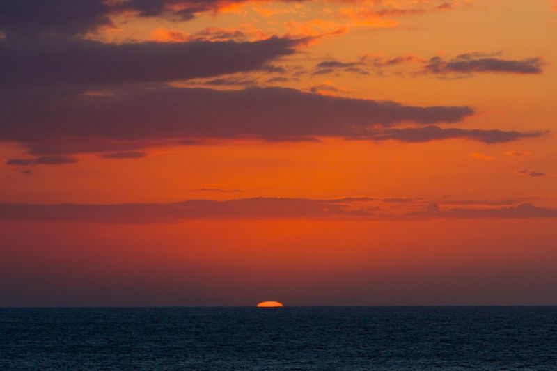 Sunset4 at Push Cart 1208.jpg